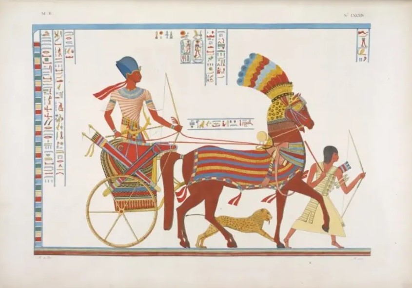 Pharoah Chariot