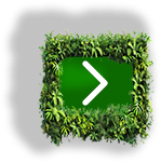 next button