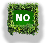 No