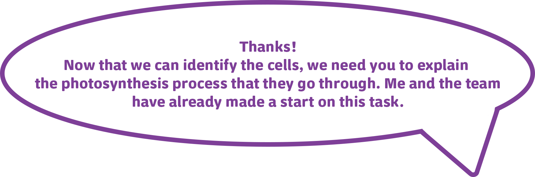 Thanks!
          Now that we can identify the cells, we need you to explain 
          the photosynthesis process that they go through. Me and the team
          have already made a start on this task.