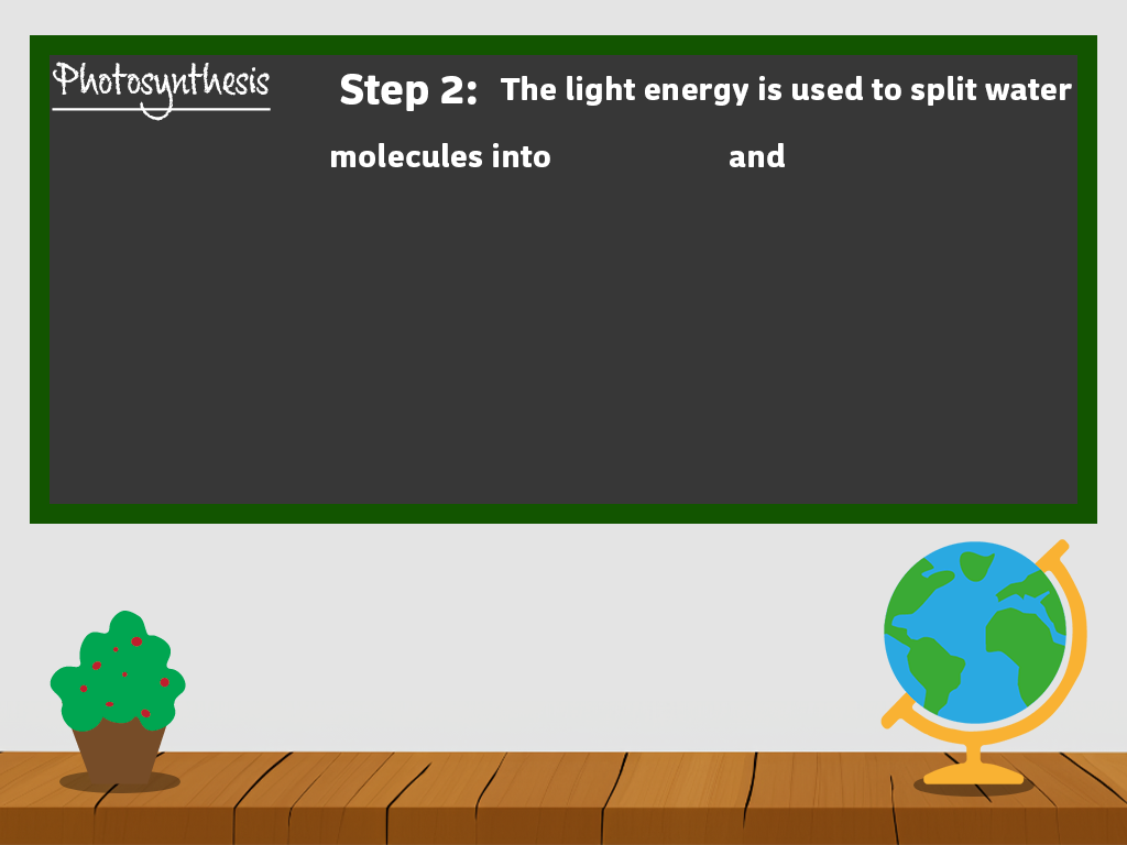 Lab Background