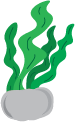 seaweed