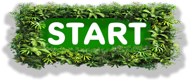 Start